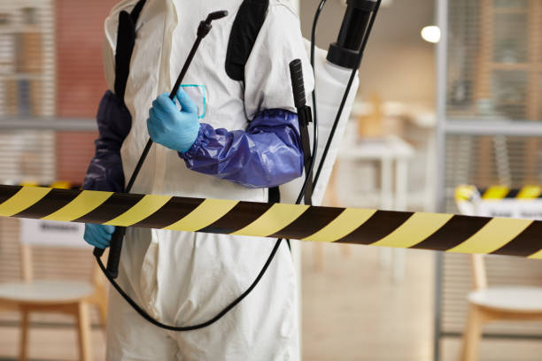 Professional Sewage Cleanup technician working in Medimont, ID